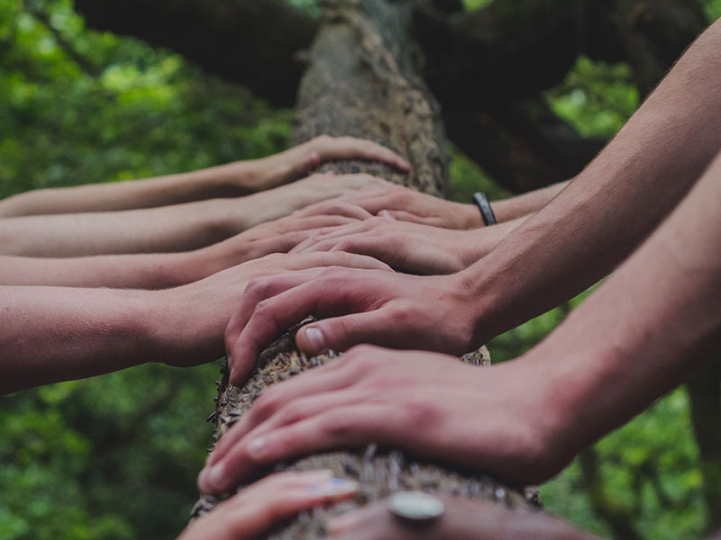 nurturing diversity